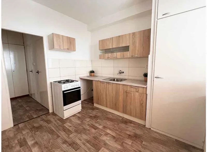 Prodej družstevního bytu 3+1, Bílovec (Nový Jičín)