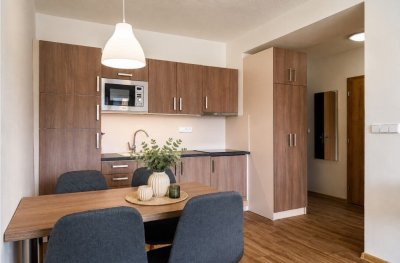 Prodej rekreačního apartmánu 2+kk s terasou - Všemina