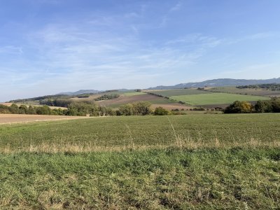 Prodej chaty se zahradou Holešov - Bořenovice