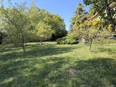 Prodej chaty se zahradou Holešov - Bořenovice
