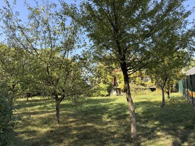 Prodej chaty se zahradou Holešov - Bořenovice