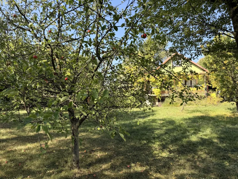 Prodej chaty se zahradou Holešov - Bořenovice
